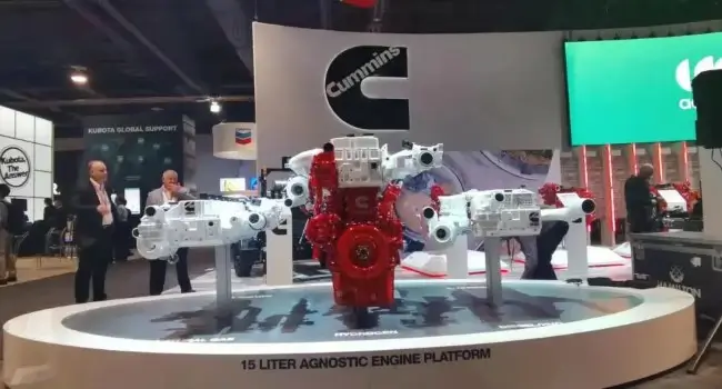 Debut in North America (4)